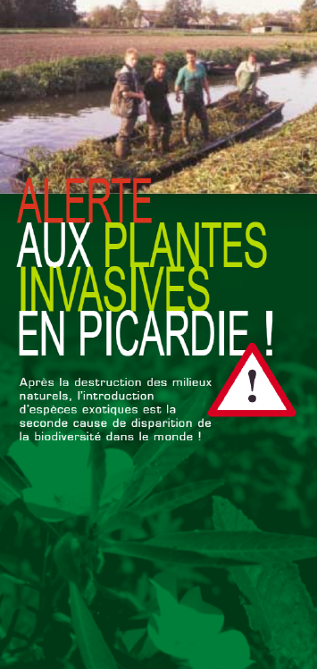 Alerte aux plantes invasives en Picardie