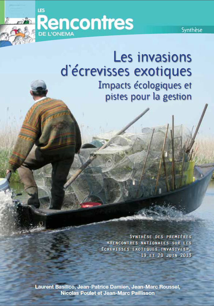 Les invasions d'écrevisses écologiques : impacts écologiques et pistes pour la gestion