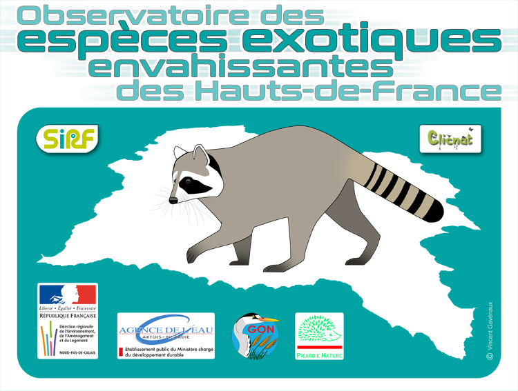 Observatoire des espèces exotiques envahissantes des Hauts-de-France