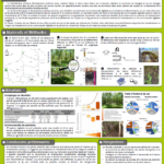Poster. Analyse de la banque de graines du sol dans un contexte de forêts envahis par le rhododendron pontique