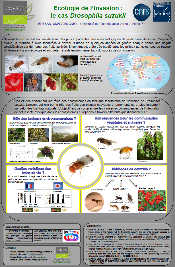 Poster Ecologie de l'invasion : le cas Drosophila suzukii
